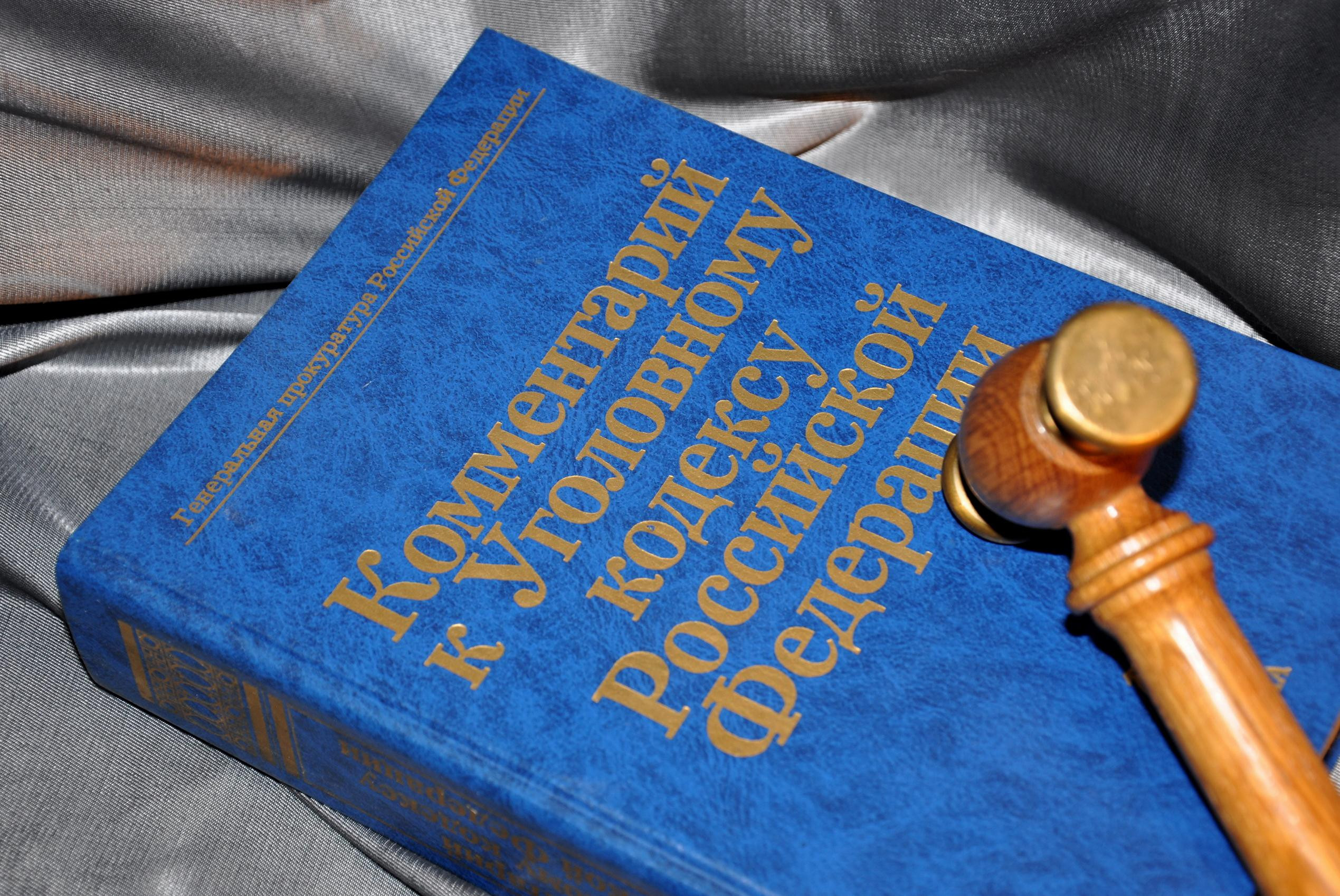 Draft Law on Amendments to Article 201 of the Criminal Code of the Russian Federation